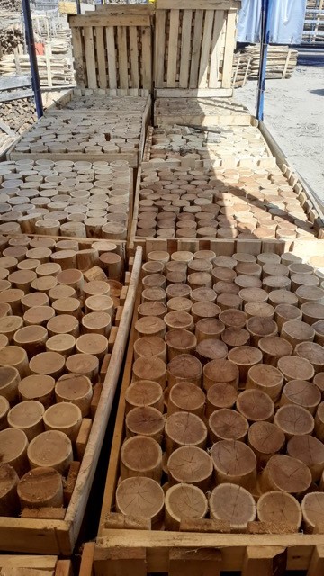 Laden von runden Pflastersteinen für einen ökologischen Schulhof um Paris